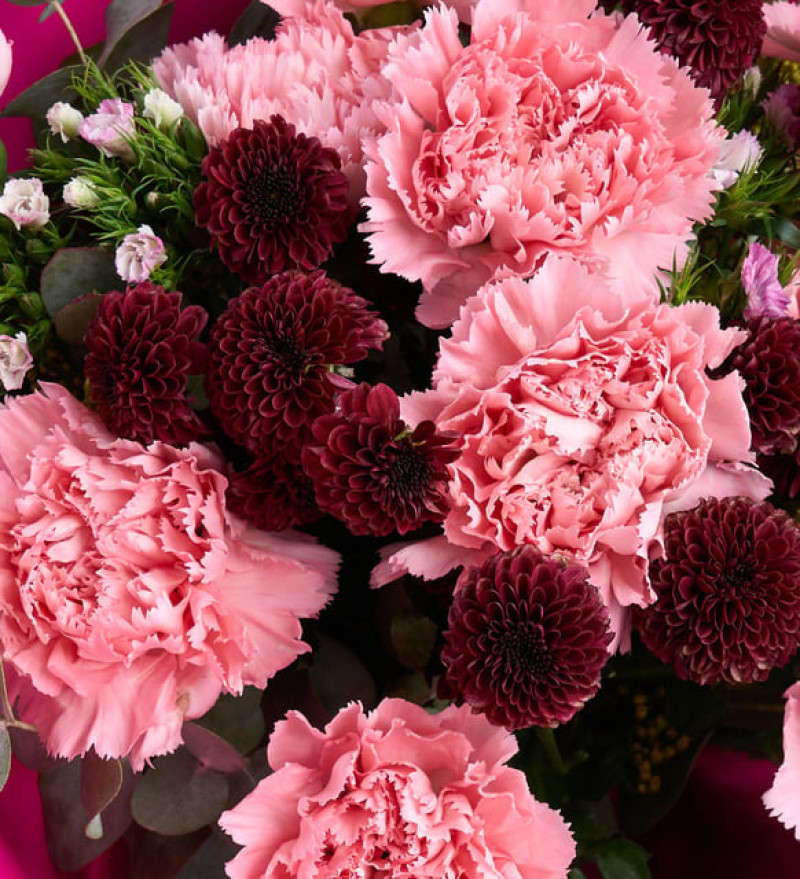 Seçkin Lila Bukette Pembe Karanfiller ve Bordo Krizantem