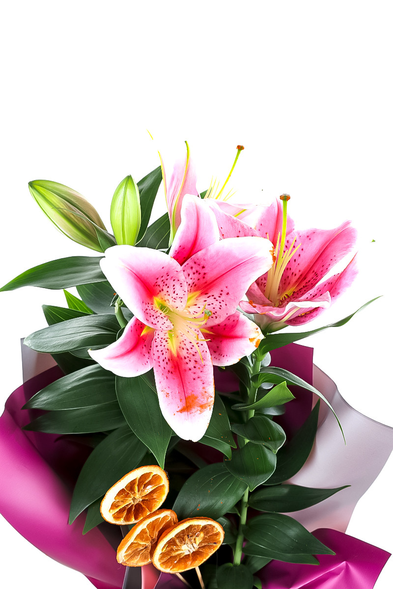 Doğal Best Flowers Lilyum Çiçeği